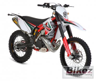 2011 GAS GAS EC 200 Six-Days photo